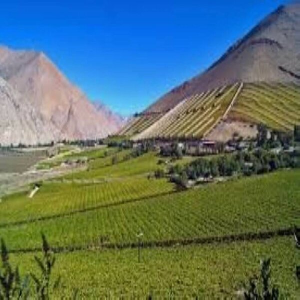 Experiencia Wellness Valle del Elqui CM - Imagen 3