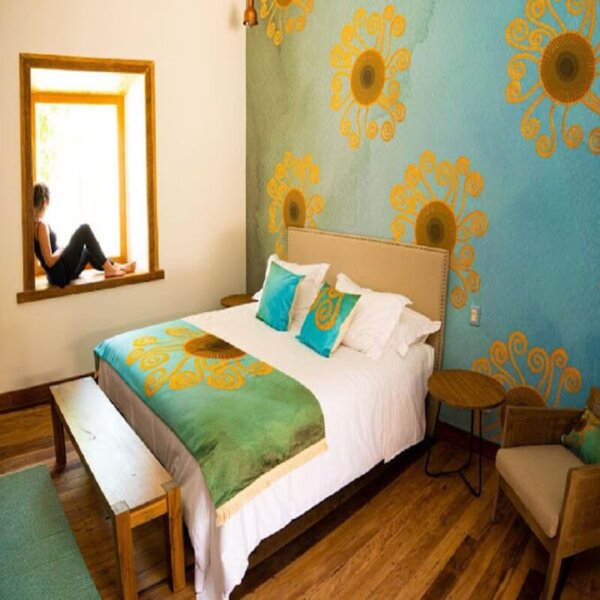 Experiencia Wellness Valle del Elqui I SM - Imagen 3
