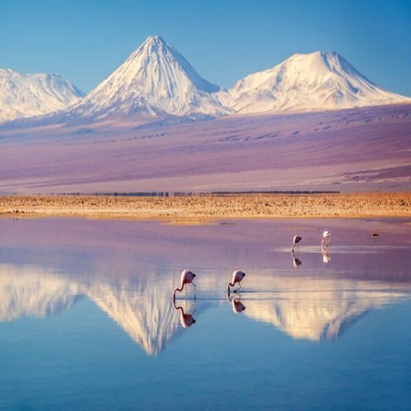 Experiencia Wellness San Pedro de Atacama - Imagen 5