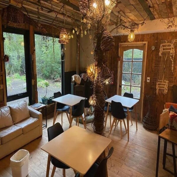 Experiencia Wellness Sur de Chile - Imagen 2