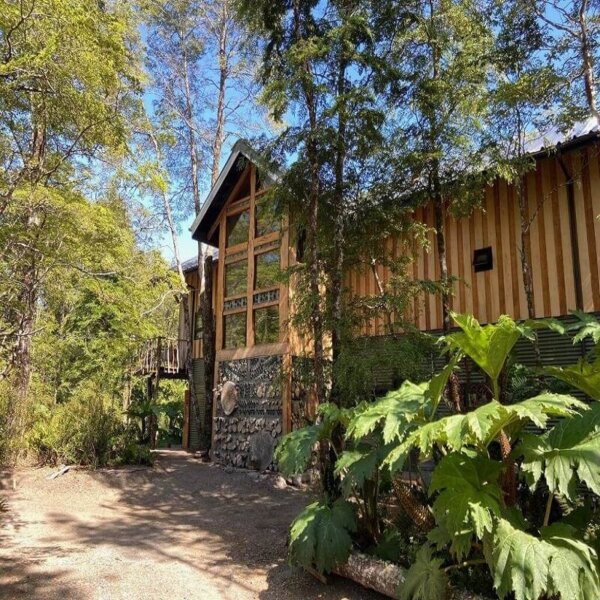 Experiencia Wellness Sur de Chile - Imagen 3