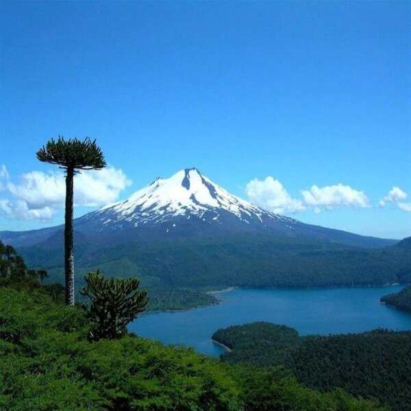 Experiencia Wellness Sur de Chile - Imagen 5