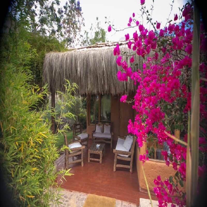 Experiencia Wellness Valle de Elqui - RME - Imagen 10