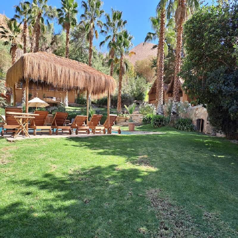Experiencia Wellness Valle de Elqui - RME - Imagen 8