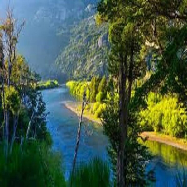 Experiencia Wellness Sur de Chile - Imagen 6