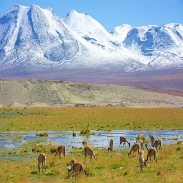 Experiencia Wellness San Pedro de Atacama - Imagen 7