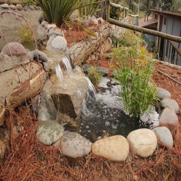 Experiencia Wellness Isla Negra - Imagen 2
