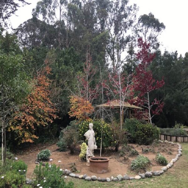 Experiencia Wellness Isla Negra - Imagen 9