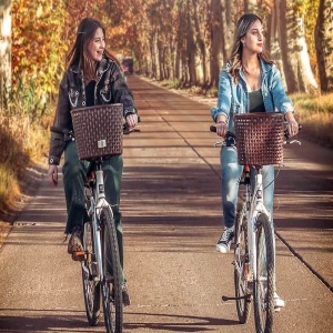 Experiencia Wine & Ride Mendoza