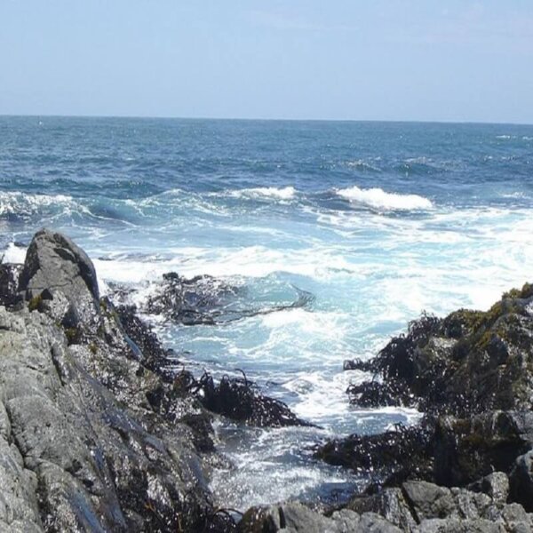Experiencia Wellness Isla Negra