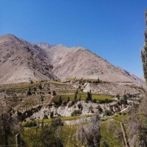 Experiencia Wellness Valle de Elqui - RME