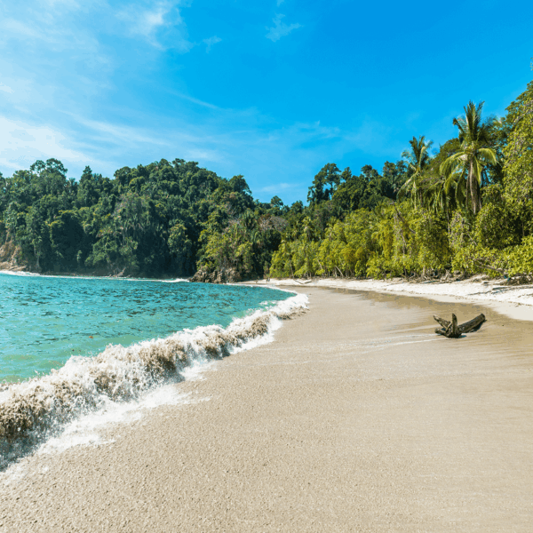 Experiencia Wellness Costa Rica - Imagen 6