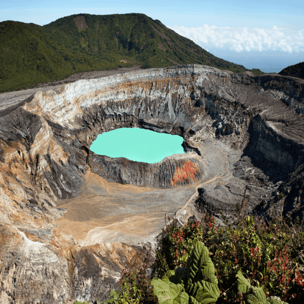 Experiencia Wellness Costa Rica - Imagen 3