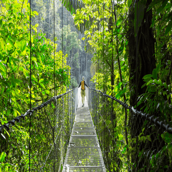 Experiencia Wellness Costa Rica - Imagen 2