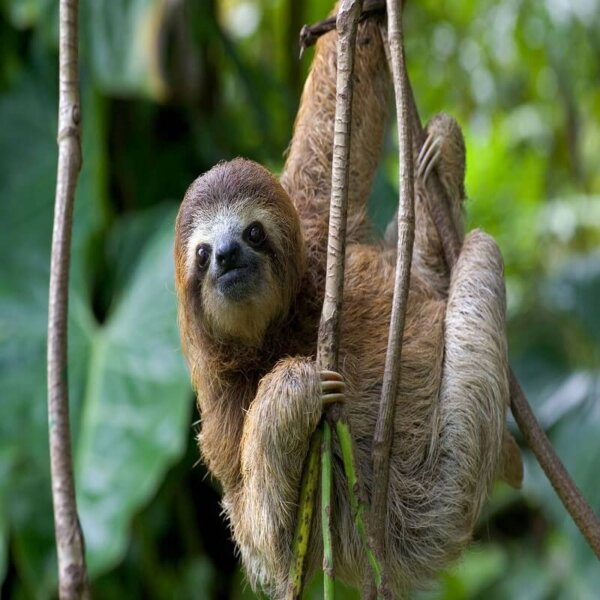 Experiencia Wellness Costa Rica